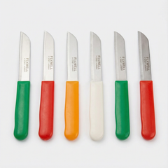 Fixwell 6-Piece Stainless Steel Knife Set with Fine Serrations for Vegetables & Fruits