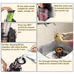 AGARO Royal Slow Juicer, Professional Cold Press Whole Slow Juicer, 240 Watts Power Motor, 120 Minutes Long Usage, 3 Strainers, All-in-1 Fruit & Vegetable Juicer, Black